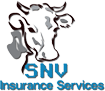 SNV SNV